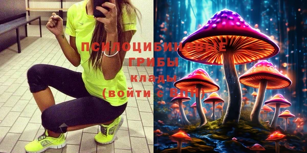 мдпв Красноперекопск