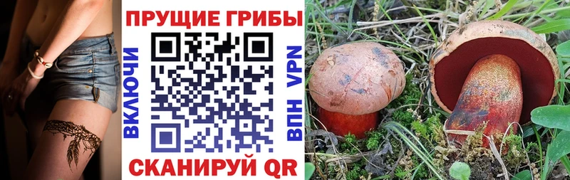 Псилоцибиновые грибы мухоморы  Струнино 